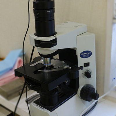 位相差顕微鏡｜渡辺歯科