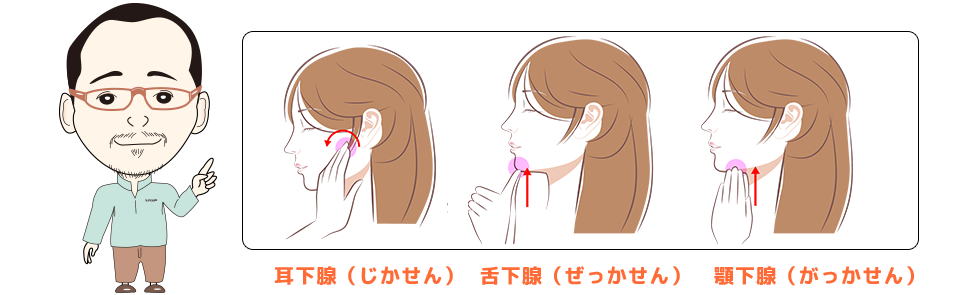 唾液腺マッサージ