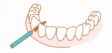 歯間ブラシの使い方
