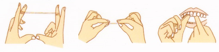 デンタルフロスの使い方