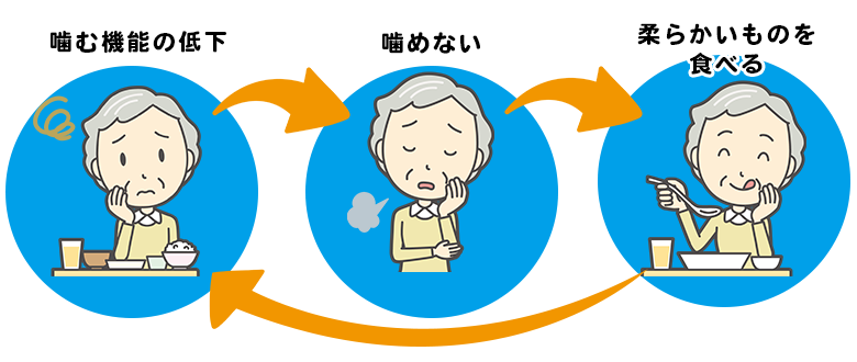 オーラルフレイルによるお口の機能低下の悪循環